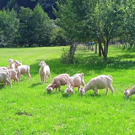 Au Mohair Des Alpy Fougax-et-Barrineuf Екстериор снимка